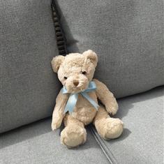 Classic Teddy Bear